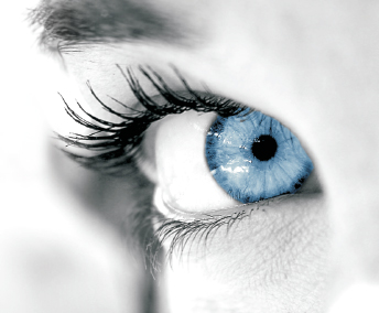 SVD Conseil, Creation, Hebergement, Conception et R�alisation de site internet